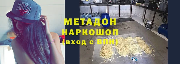 прущие грибы Алзамай