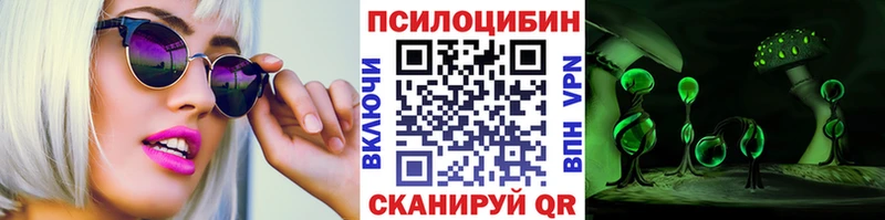 mega рабочий сайт  Ахтырский  Псилоцибиновые грибы Psilocybe 